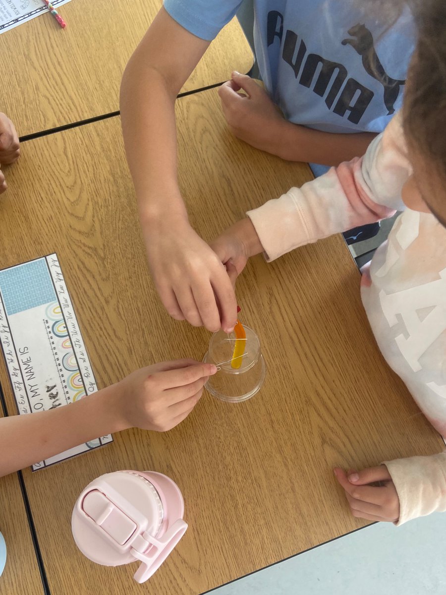 We had a great first week in Grade 3 getting to know one another and our new classroom family. Lots of fun activities that brought our classroom community together as one! 💗