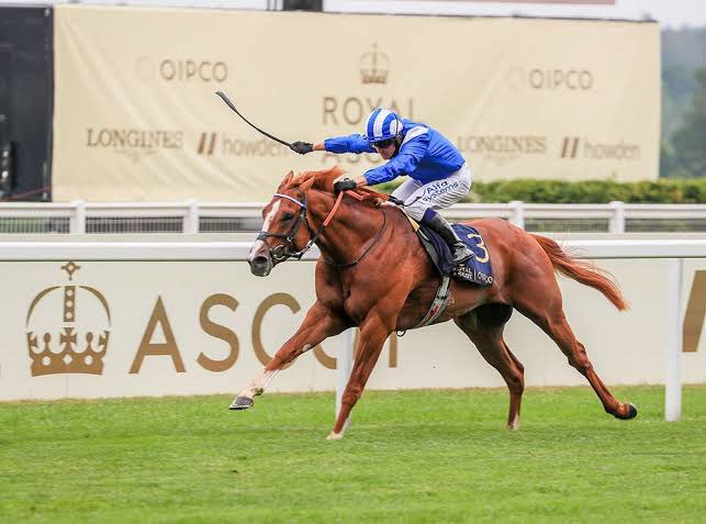 Tegbir Brar tweet media