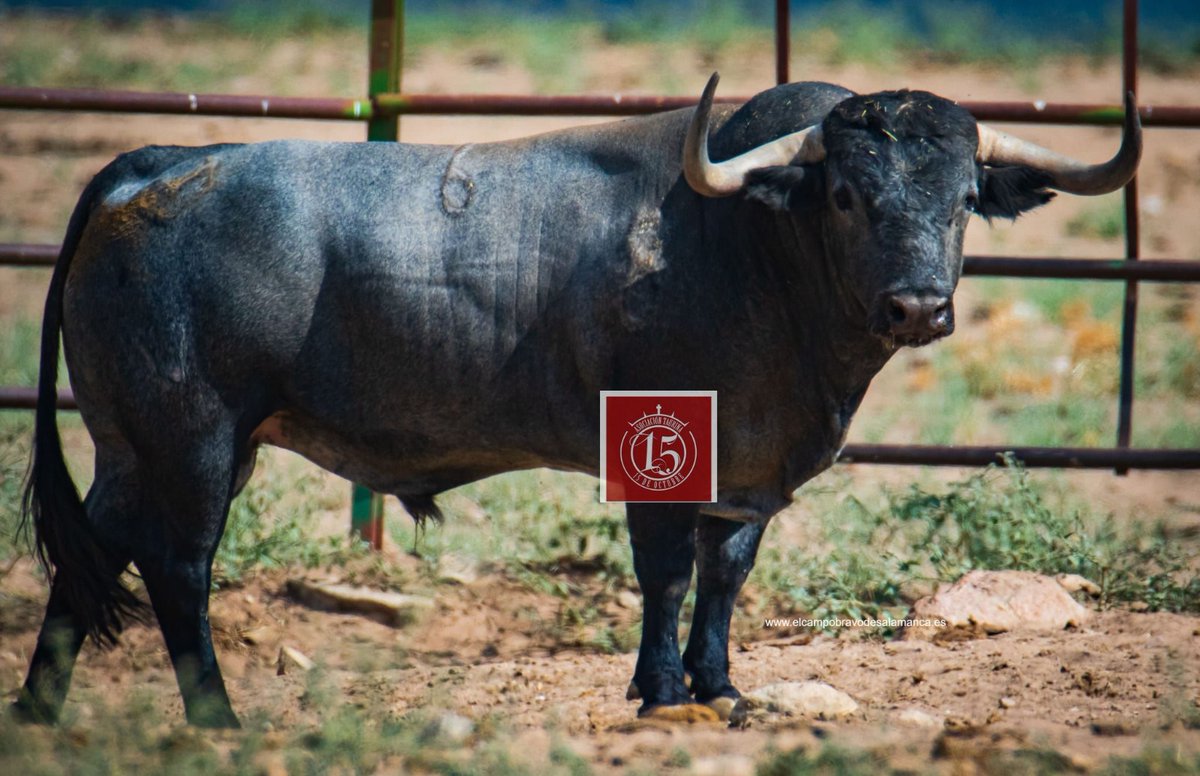 m.facebook.com/story.php?stor…