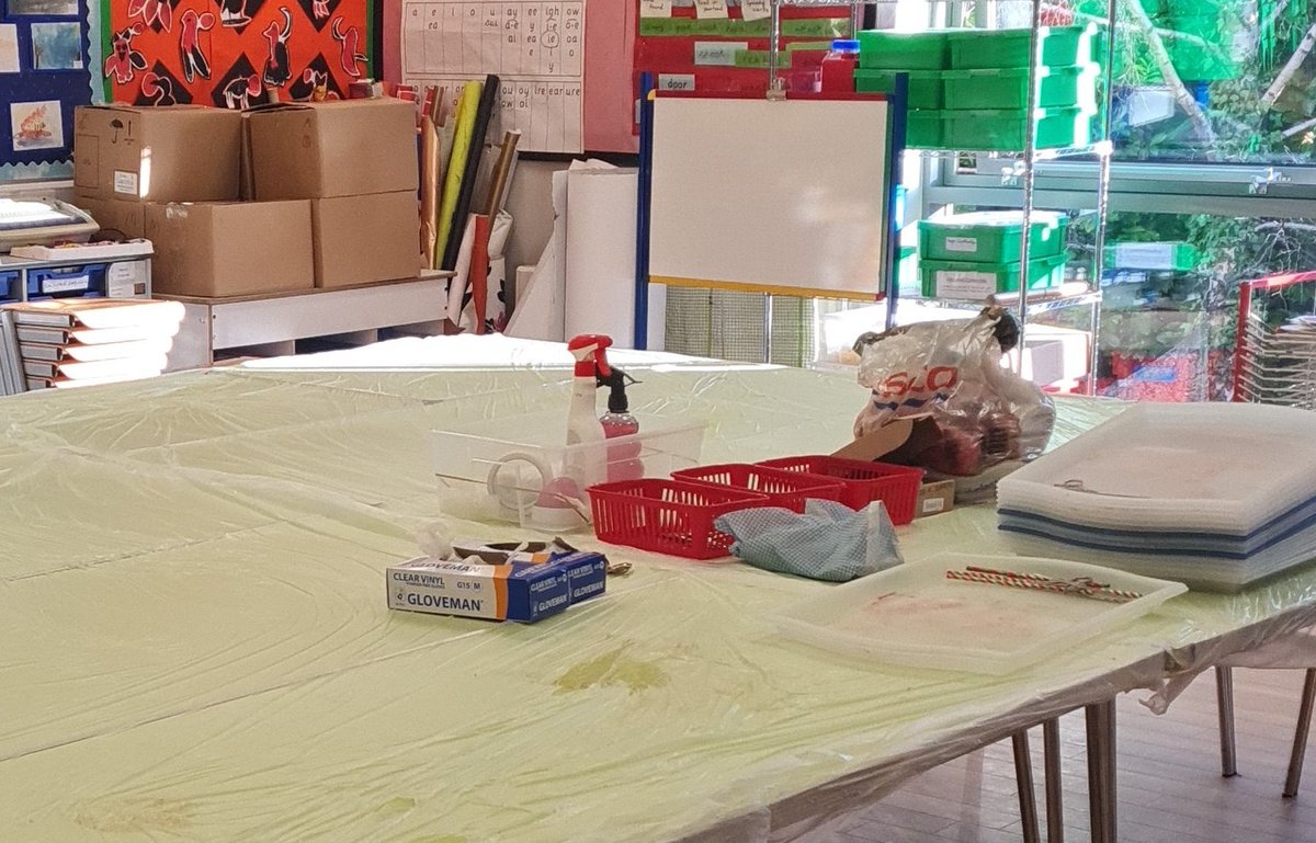 SciEnrichForPri's tweet photo. Sooooo....does anyone want to buy a whole set of dissection kits to run their own Primary Enrichment business? One week into my new job and I know I will be staying put for the next twenty years or so ❤️ 
#Chaplaincy #HeartDissections #HeartInTheRightPlace https://t.co/ewTLwXhwO1