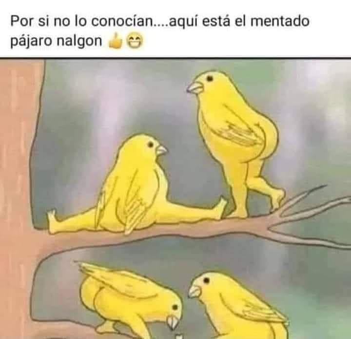 angertop's tweet photo. @Milenio 🤣🤣🤣🤣...agentes de la CIA infiltrados desde SIEMPRE, como se hacen weyes...🤣🤣🤣...dondes esta la barbie?...🤣🤣🤣 https://t.co/JtpCW5DHs9