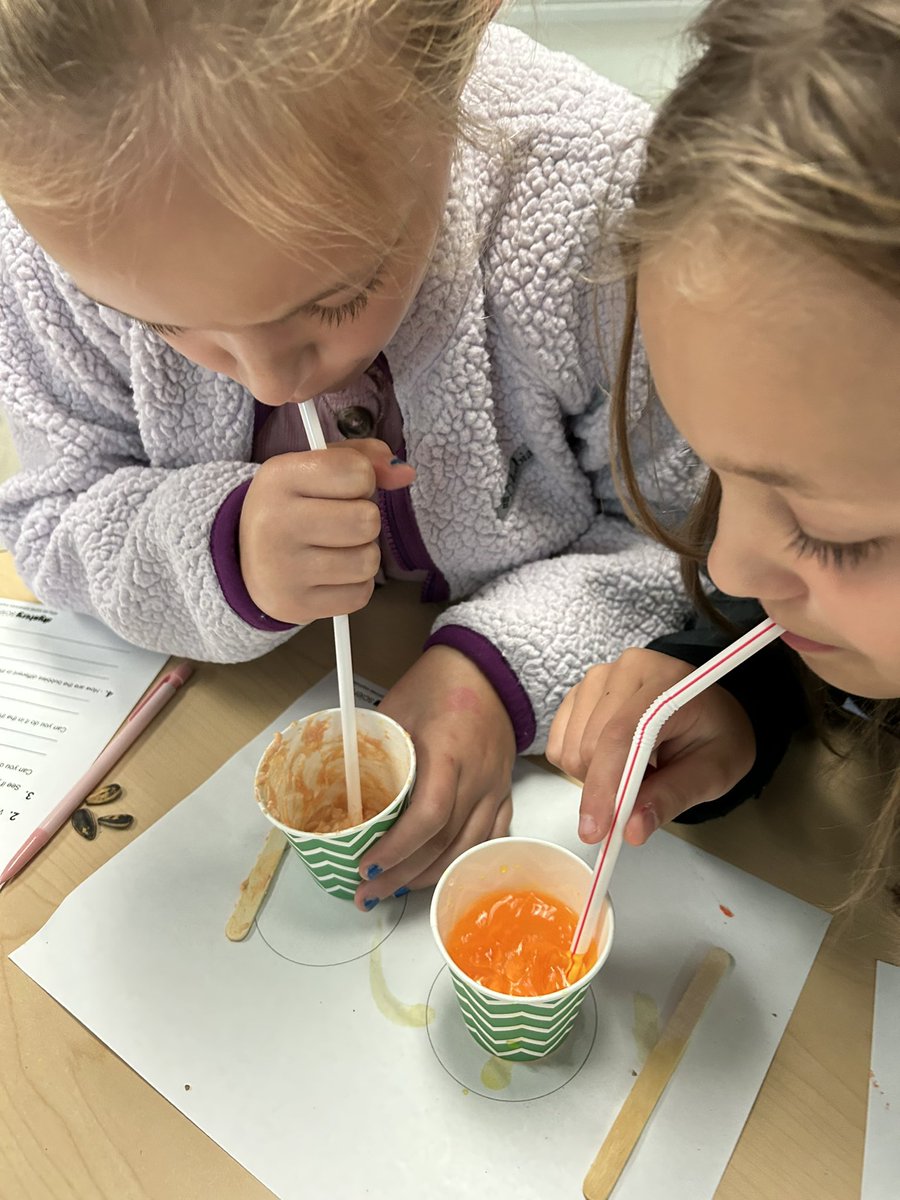 Audra Quinlan tweet media