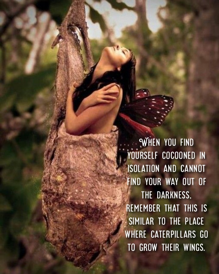 so0okshma's tweet image. change inside #chrysalis —
#fearful caterpillar 🐛
grows wings 🦋

her heart grows💓#wings, flies to him

she smashes #fears—
focusing #equal-breaths
pranayama helps

#vss365 #haikuchallenge #haikufeels #haiku
#7WordsPoet #monoku 🎶banke titli
#Only8Words ✍#so0ots #haikusaturday