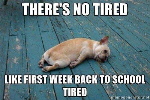 Is anyone else feeling exhausted tonight? 😴😴😴😴😴 Image credit: meme generator