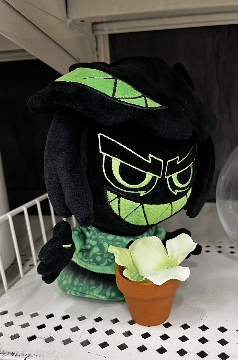 NatureLover645's tweet photo. He arrived! We went on an adventure together #phiplush @phisnom https://t.co/ApKP7skYma