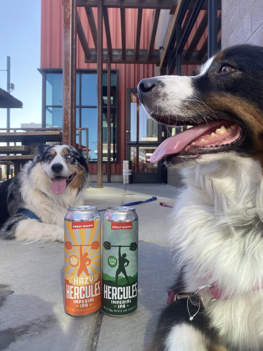 We double dog dare you to try both Hercules and Hazy Hercules Imperial IPAs. 🐶🐶🍻