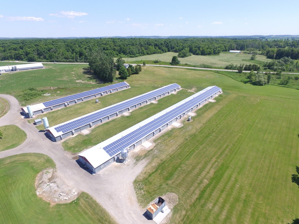 Schiedel View Farms is a local turkey farm located outside of New Hamburg, Ontario &amp; CED Co-op installed 250kW by putting 967 fixed panels on their three sloped roofs!

Learn more: cedco-op.com/our-projects/

#divest #invest #community #communityprojects #sustainability