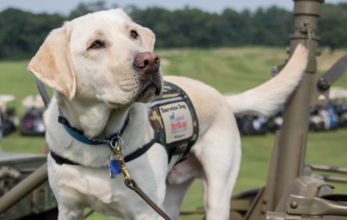 VetDogsProducts's tweet photo. #DidYouKnow, every purchase of our treats supports those who train and provide assistance dogs to #American veterans? 🤯
Learn more about #VetDogs, and then find us at your local @Petco today! 🐾 https://t.co/hRGSPVjZU2