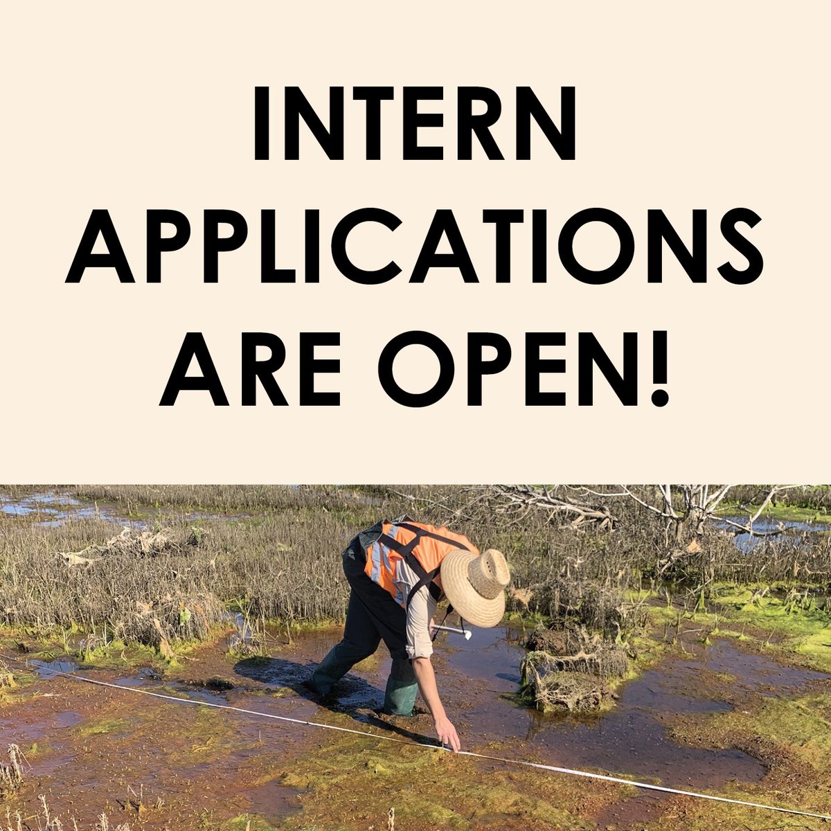 Intern applications are now open! Head over to bolsachica.org/internships/ for information on how to apply to join our amazing team! Applications are open through the end of business on Friday, September 15th.