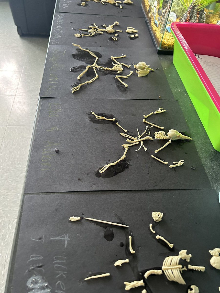 Charlie Eller tweet media