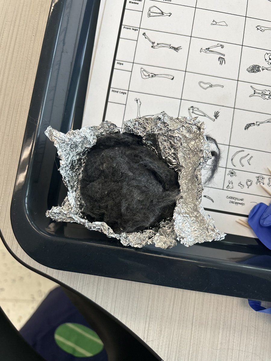 Charlie Eller tweet media