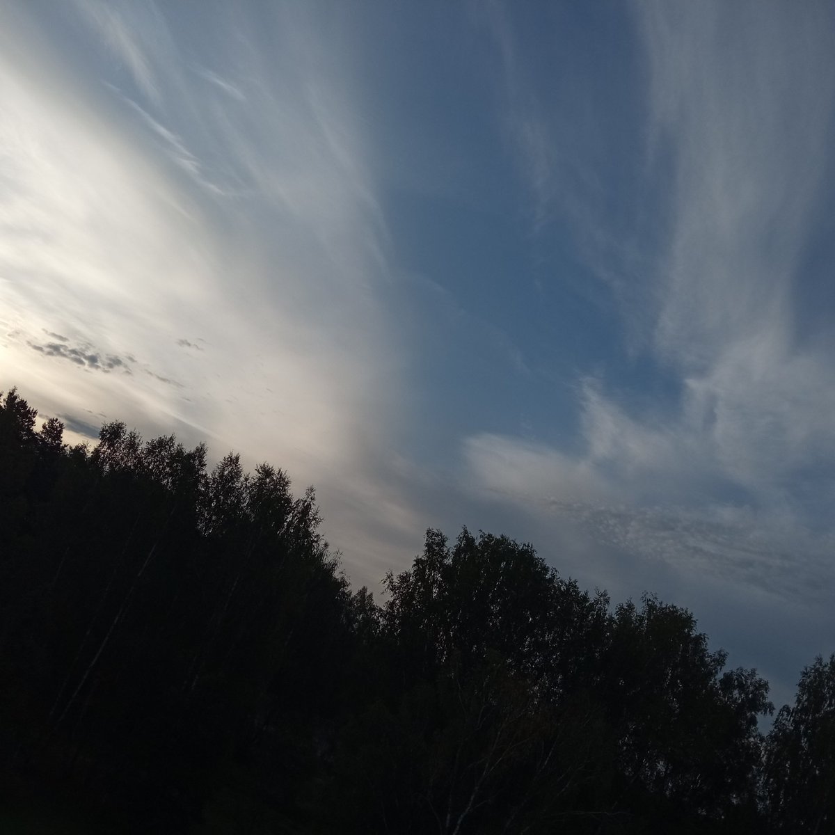 Kristinesk2 (@kristinesk22) on Twitter photo 