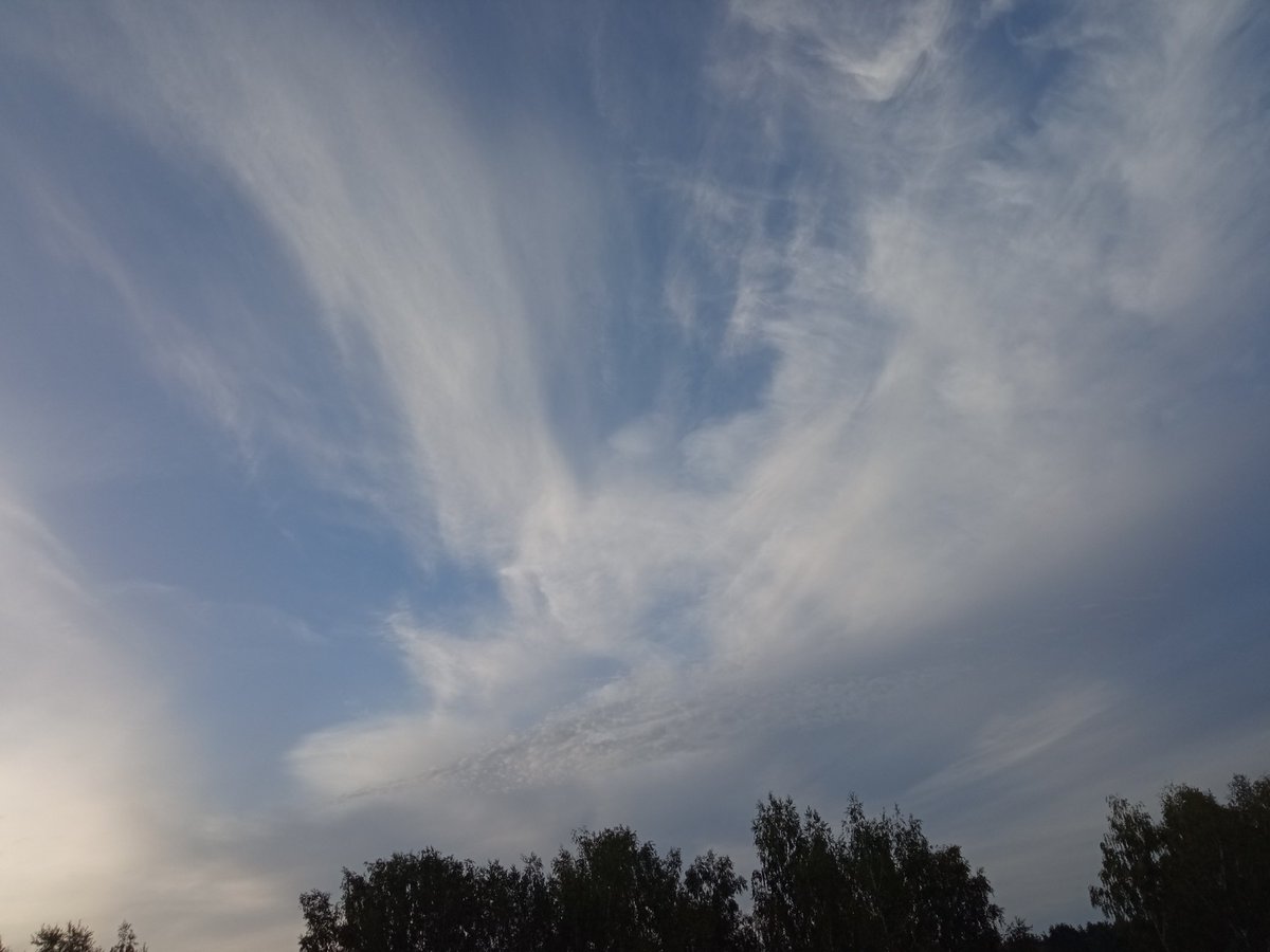 Kristinesk2 (@kristinesk22) on Twitter photo 