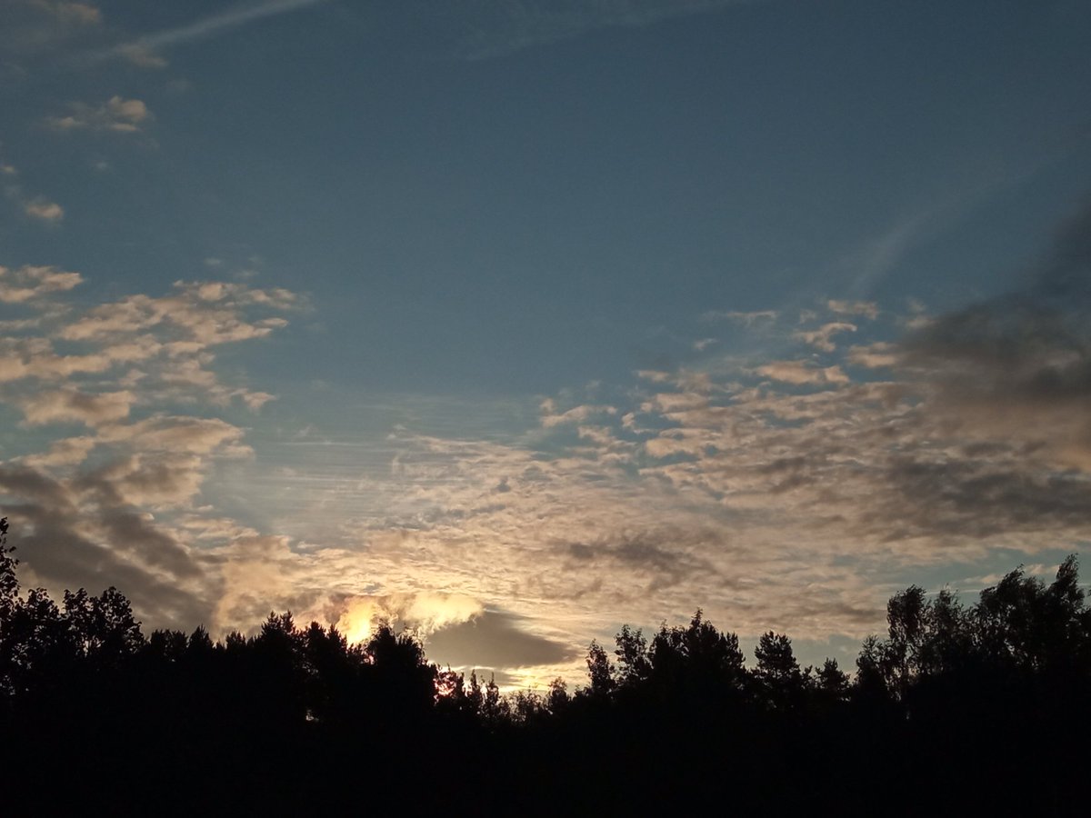 Kristinesk2 (@kristinesk22) on Twitter photo 