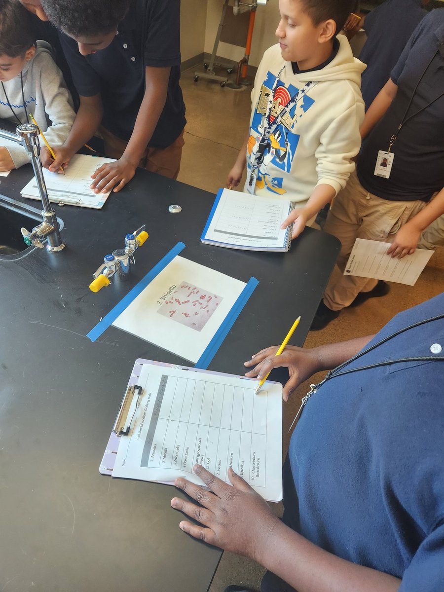villa_sci's tweet image. Cell identification gallery walk to put those memory skills to the test. I loved watching my students collaborate 🦠💚

#SamSide #HoustonScience #Prokaryotes #Eukaryotes #Cells