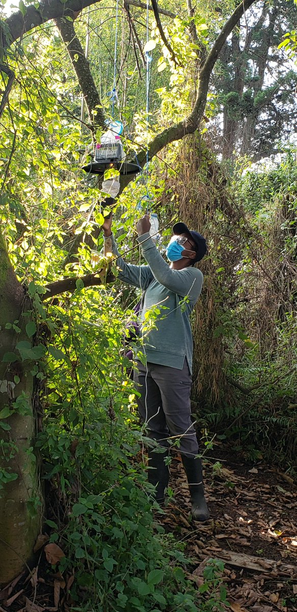 Applications are now open for @ucghi's 2024-2025 GloCal Health Fellowship! Deadline to apply: November 1, 2023.

Info and application: ucghi.universityofcalifornia.edu/fellowships/gl…