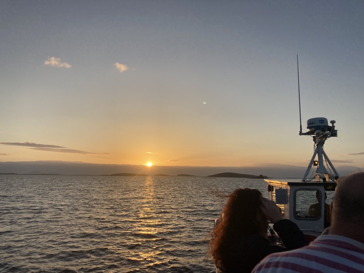 My life now, evening trip on Clew Bay, sing song after with a few cans (and a bottle of wine). Tough.