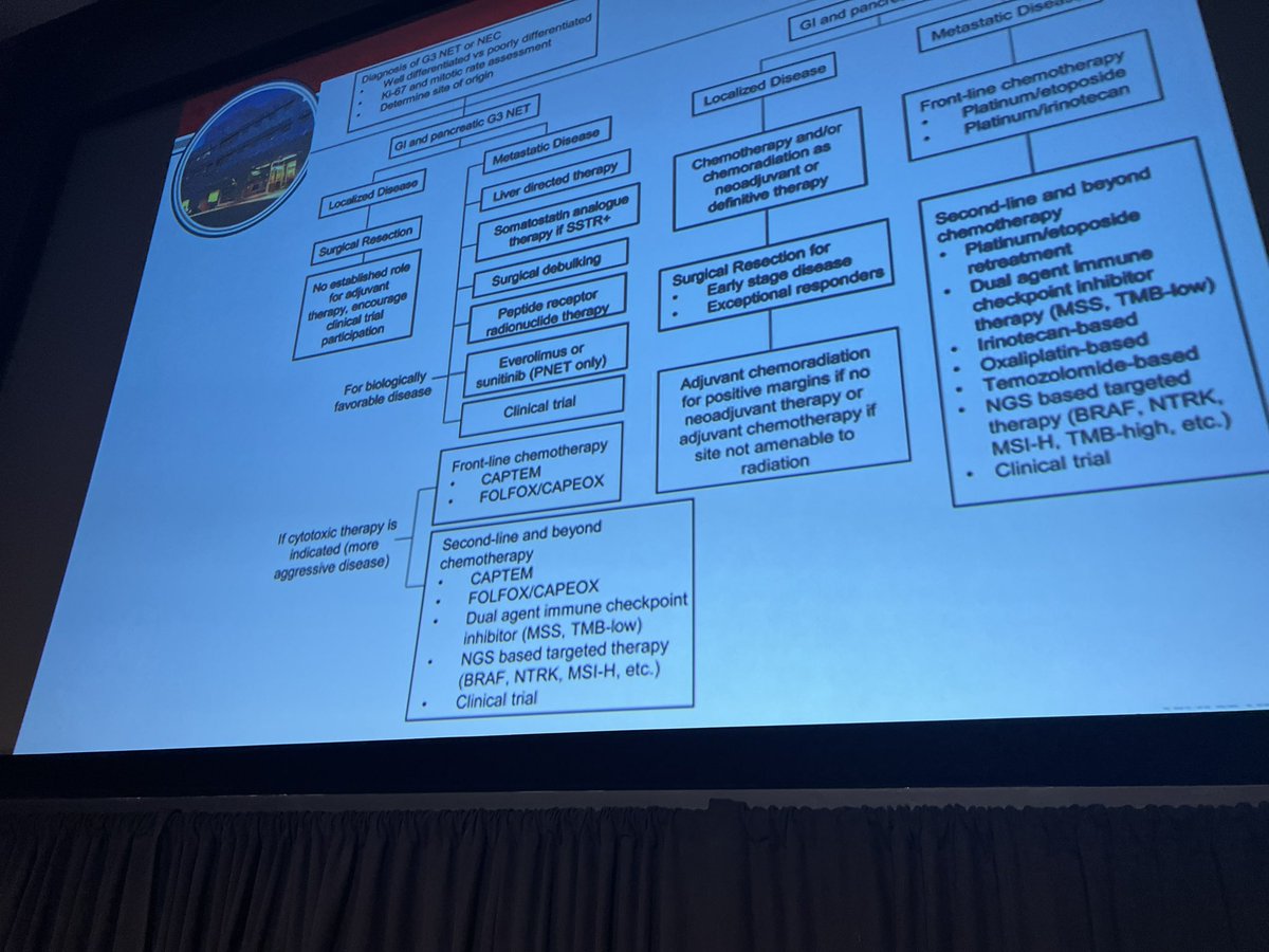FlavioRochaMD's tweet photo. Delighted to moderate session on the surgical and medical management of G3 Neuroendocrine Neoplasms, NET, NEC @NANETS1 Bethesda by #NETologists 🦓 @AGangiMD and @NVijayvergiaMD https://t.co/891su0KRjB