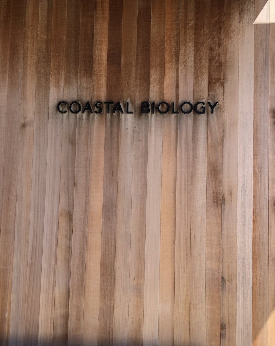 Racine E. Rangel, Ph.D. tweet media