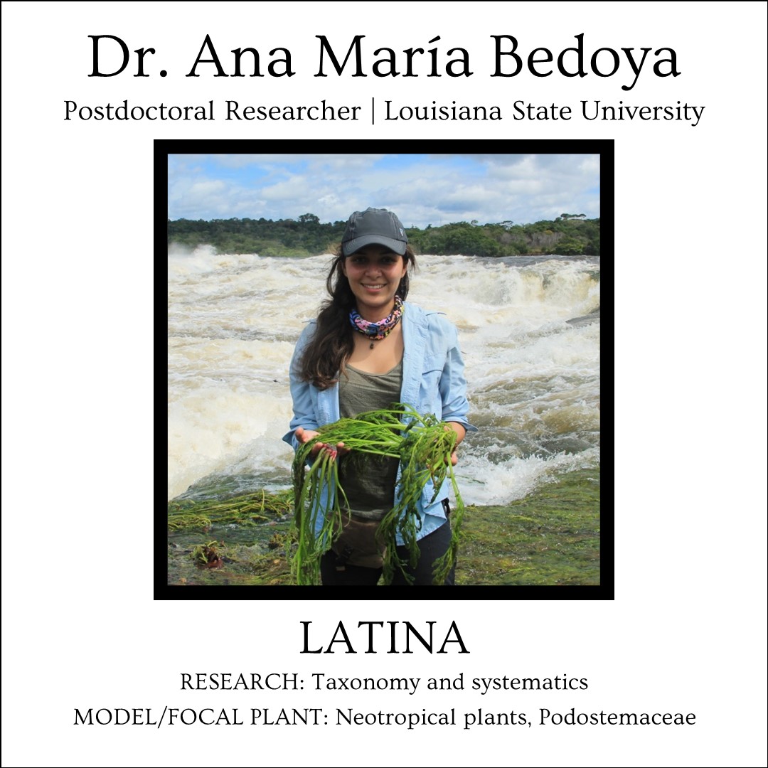 Front & Center Plant Science tweet media