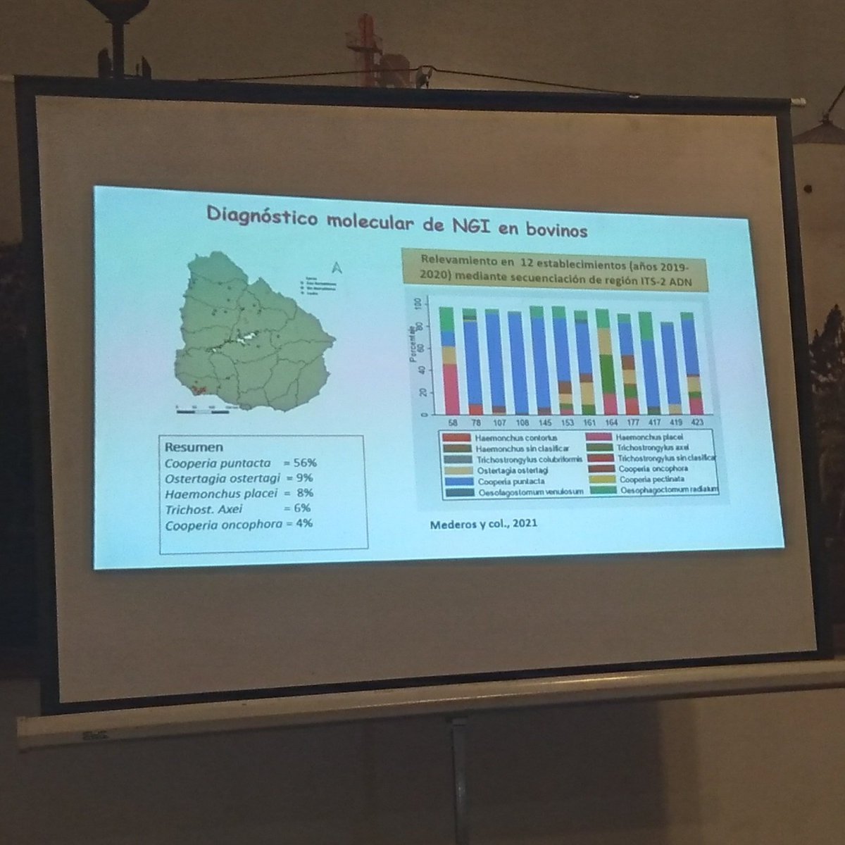 👉#Ahora en <a href="/CALSAL1/">CALSAL</a> "Parasitosis gastrointestinales en vacunos" 
👉 Dras. América Mederos de <a href="/INIA_UY/">INIA URUGUAY</a> y Tatiana Saporiti de Elanco
🚩Importante conocer la situación de resistencia en cada establecimiento pra utilizar drogas eficaces