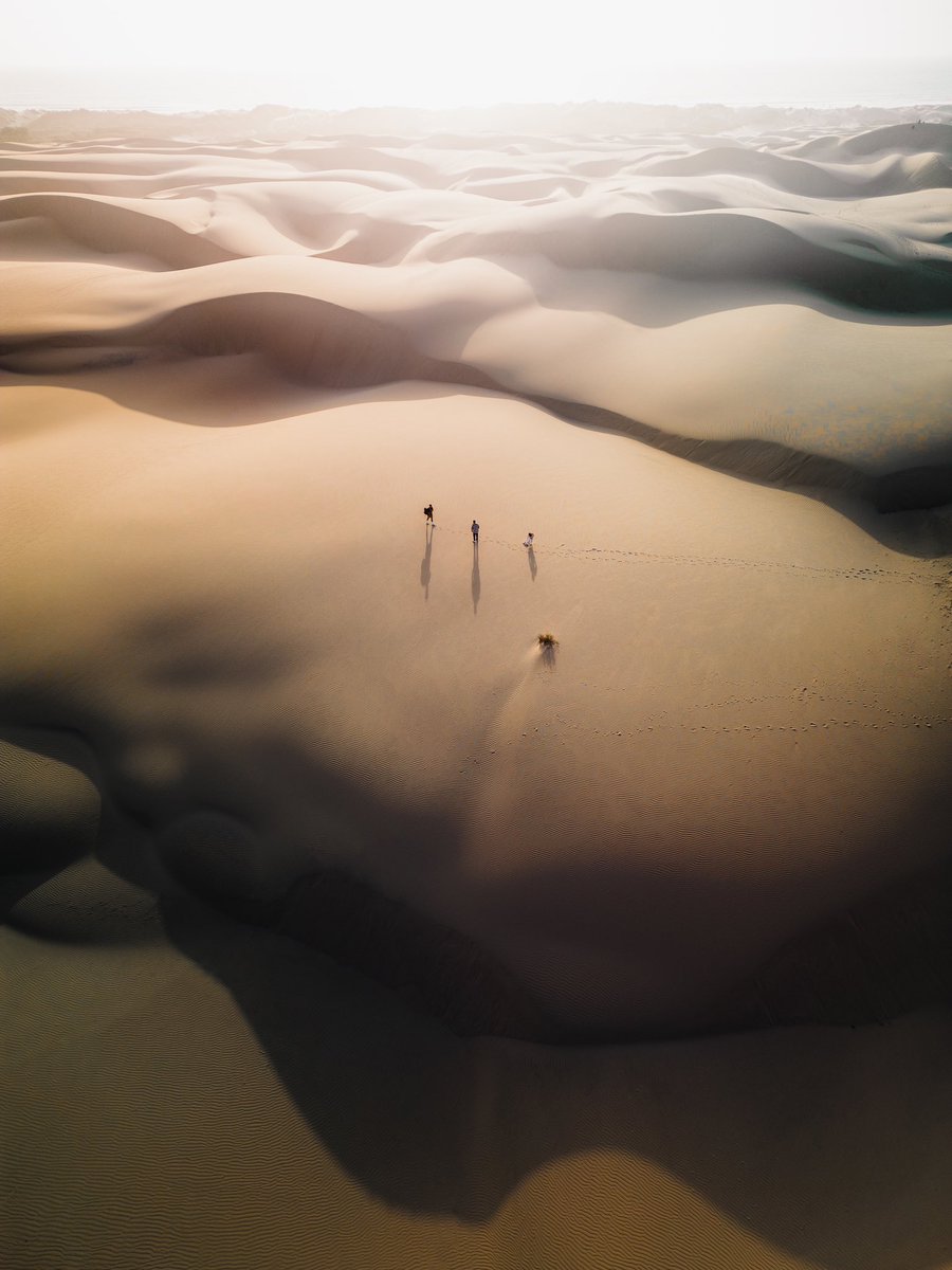 Kevin Wu | mrkwu.eth tweet media