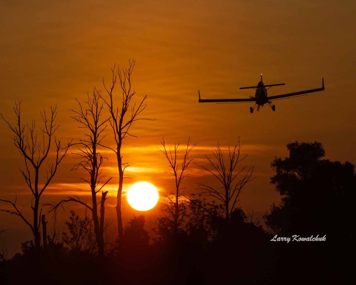 Sunrise Flight near #ldnont #ldnontario #ThamesCentrePhotographer #sunrise #sunrisephotography #morning #Airplane #OntarioPhotographer #photooftheday