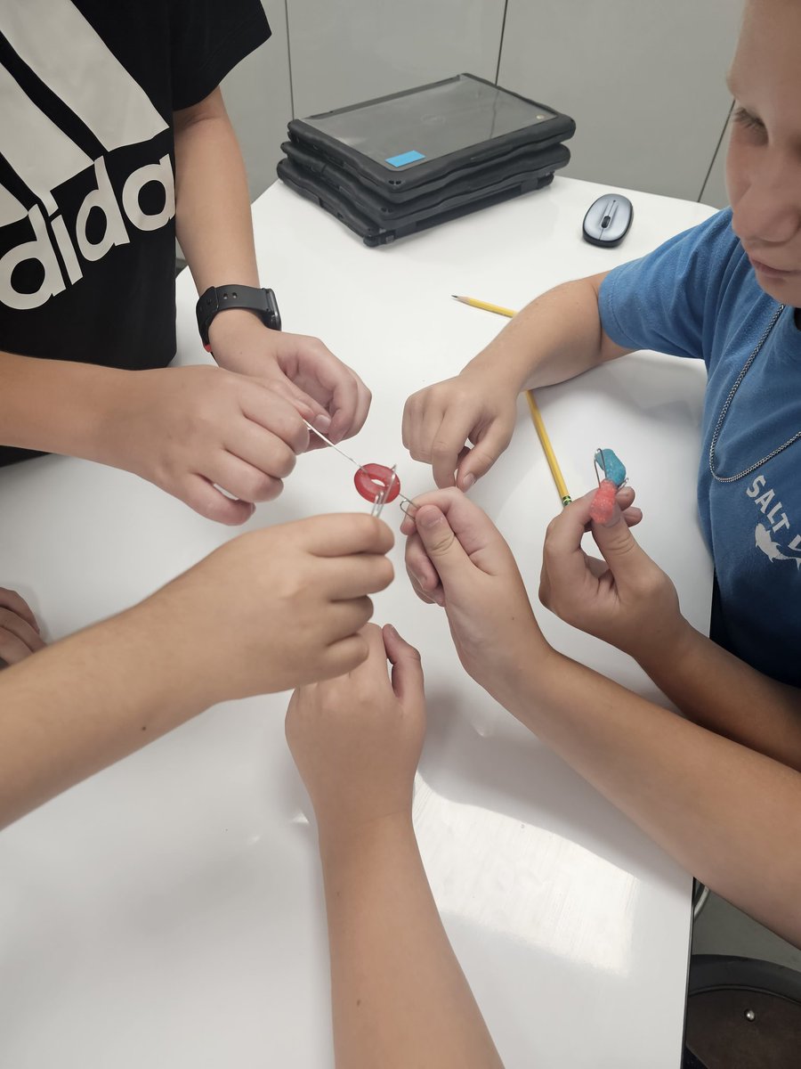 Elizabeth Andreassi tweet media