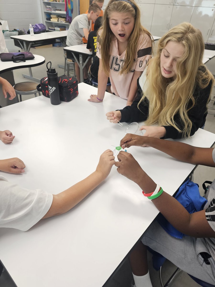 Elizabeth Andreassi tweet media