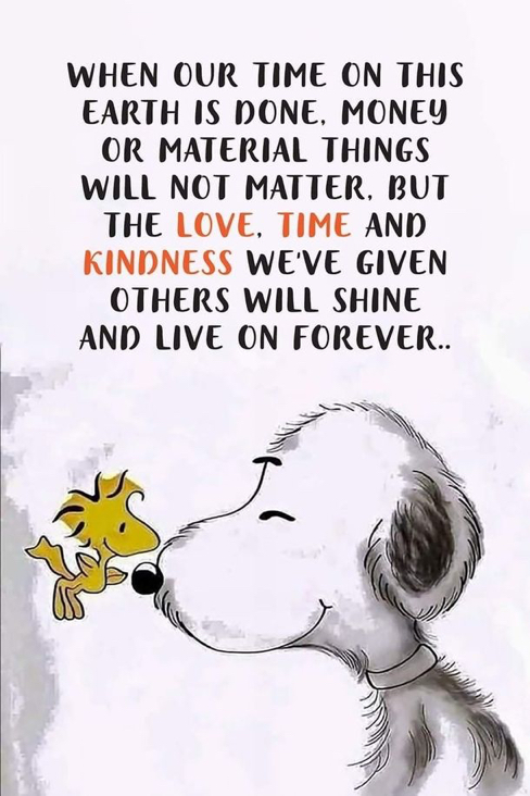 Charlie Brown Fan Account tweet media