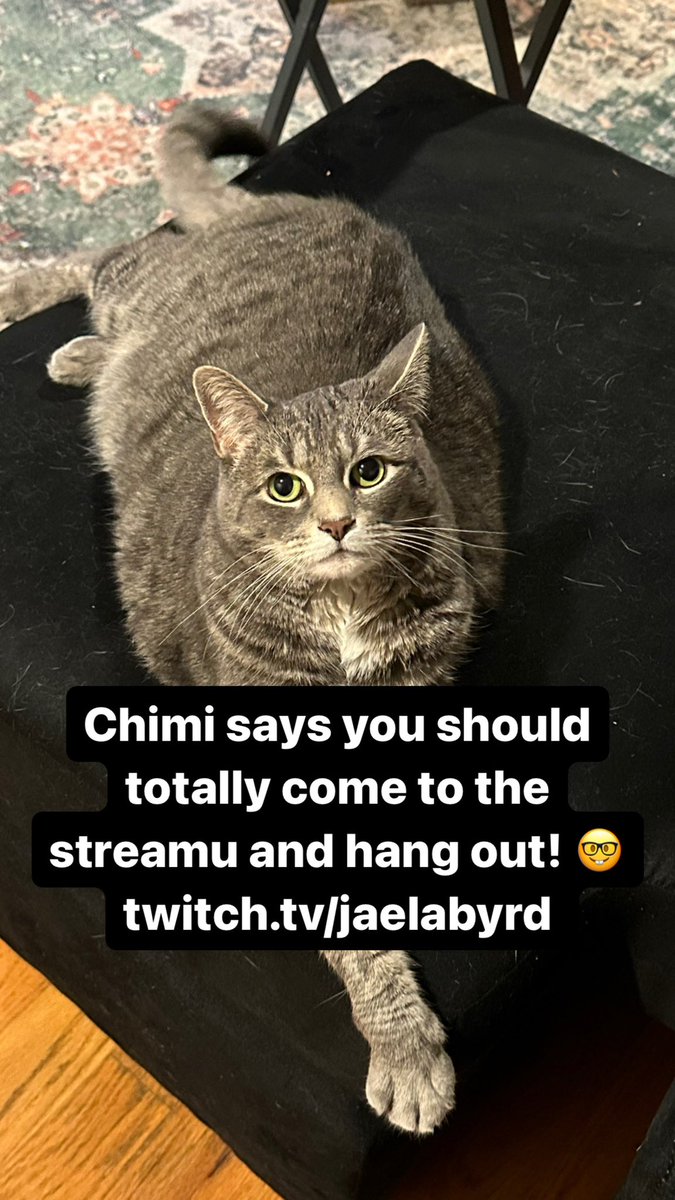 🟢LIVE

Streaming part 4 of our Wolfenstein The New Order play through!!   Stuff is getting goooood! 😎

twitch.tv/jaelabyrd