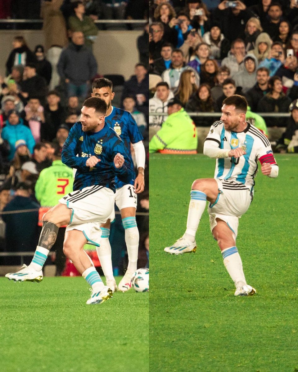 Estas fotos son increíbles.