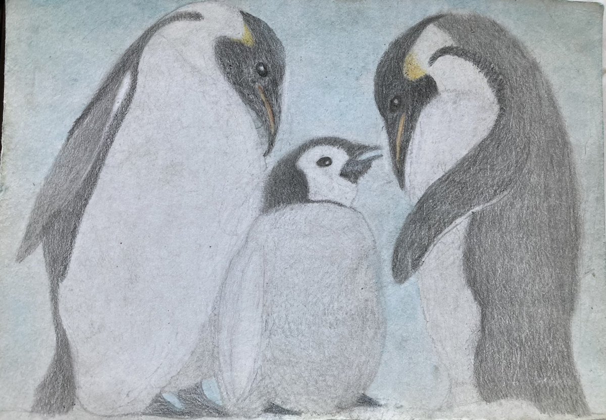 「コウテイペンギン
の家族」
「Emperor penguin 
Family of」

#ペンギン
#コウテイペンギン
#色鉛筆画
#Penguin
#emperorpenguin
#handicapped
#Coloredpencildrawing