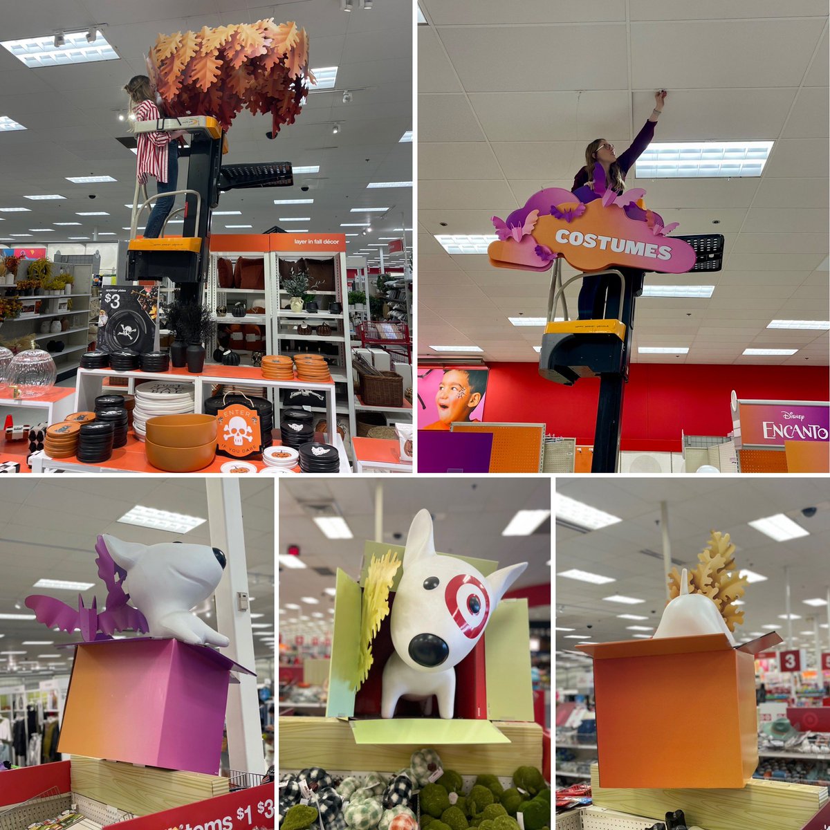 MaySandlin11's tweet image. What a great 2 weeks getting to know new VM, Lindsay!! She is such a quick learner and will do amazing things at her new store✨ #target #visualmerchandiser #doallthethings #multitaskexpert #productivesteps