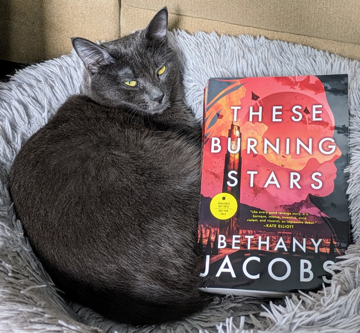 I'm really looking forward to reading #TheseBurningStars by @BethanyGJacobs! A revenge tale, a star-spanning empire, and a hunt for a secret that could collapse worlds. Comes out this Oct. I can't wait for people to read it! #CatsofTwitter #bookmail