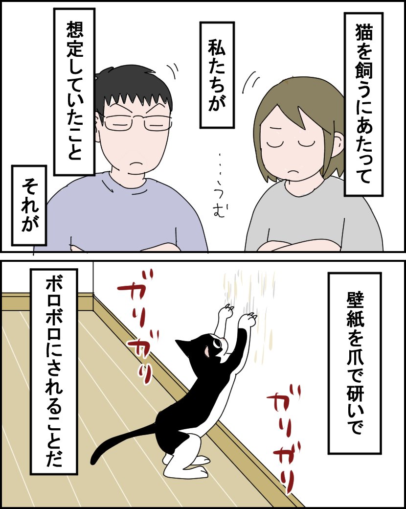 第39話【猫飼い1年生】

良さげな爪とぎ器を買って壁紙を死守しようとした
(1/2)

#漫画が読めるハッシュタグ #猫 #コミックエッセイ 