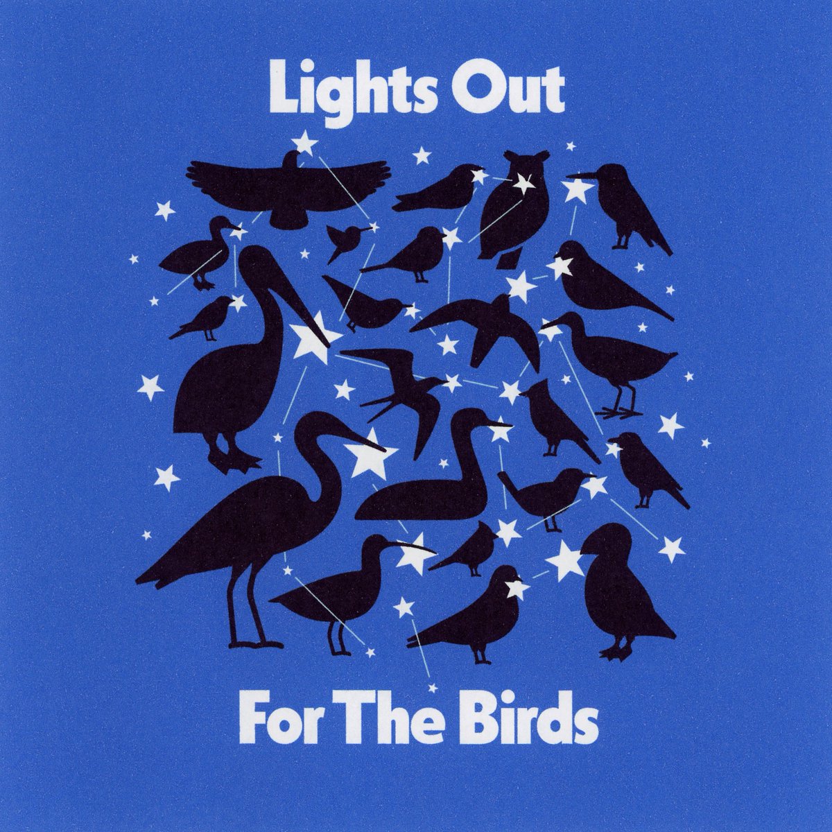 hootalex's tweet photo. Reducing light pollution at night helps migrating birds. Turn off the lights for them! #darkskies https://t.co/1sdMRowbHt