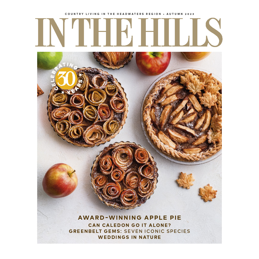 Cozy up to our new fall issue – it’s a feast for the senses. inthehills.ca
