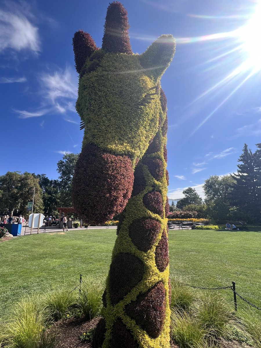 WWTravelMag's tweet photo. Always something new to see at the Calgary Zoo!
.
.
#calgaryzoo #calgary #yyc #yycnow #yycliving #yyclife #calgaryisbeautiful #yyctoday #yycbuzz #calgaryalberta #calgarylife #calgarynow #calgaryviews #yycinfluencer #yycblogger #shoplocalcalgary #calgaryfood #zoo https://t.co/m6BMmOnMpa