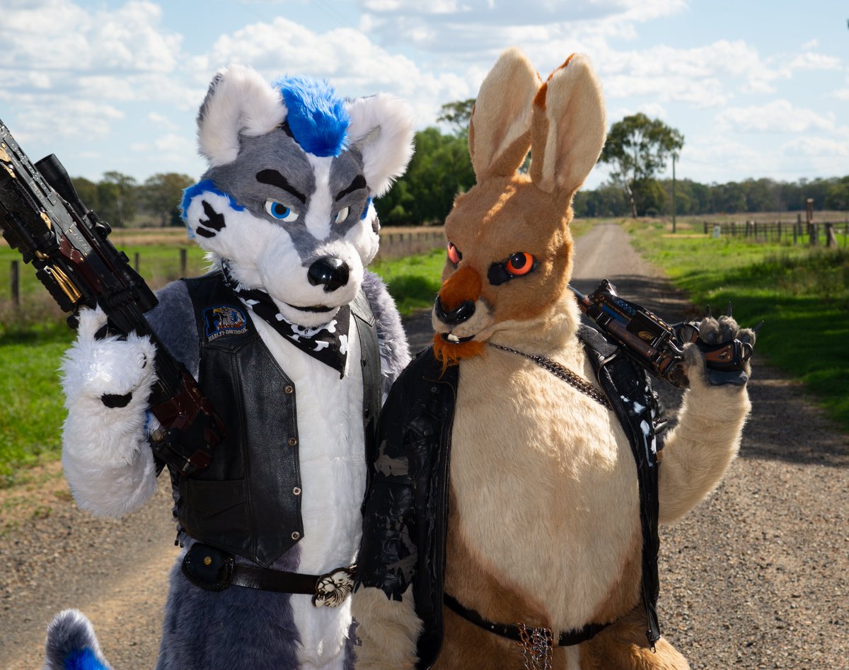 Kayden_Husky's tweet photo. Wishing everyone an awesome weekend :) ... thought i would share a few photo's with Bruce the Kangaroo when he visited . Really loved him , he is still about i hear *wags*......@Espcetera https://t.co/vEY2lPhv1u
