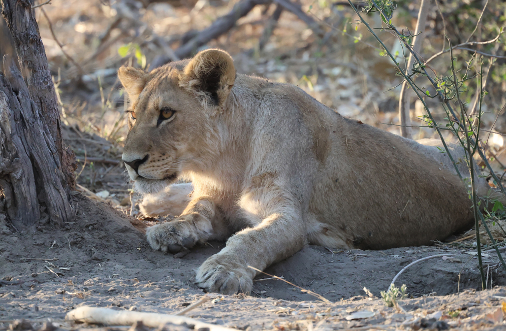 Tara Turkington tweet media