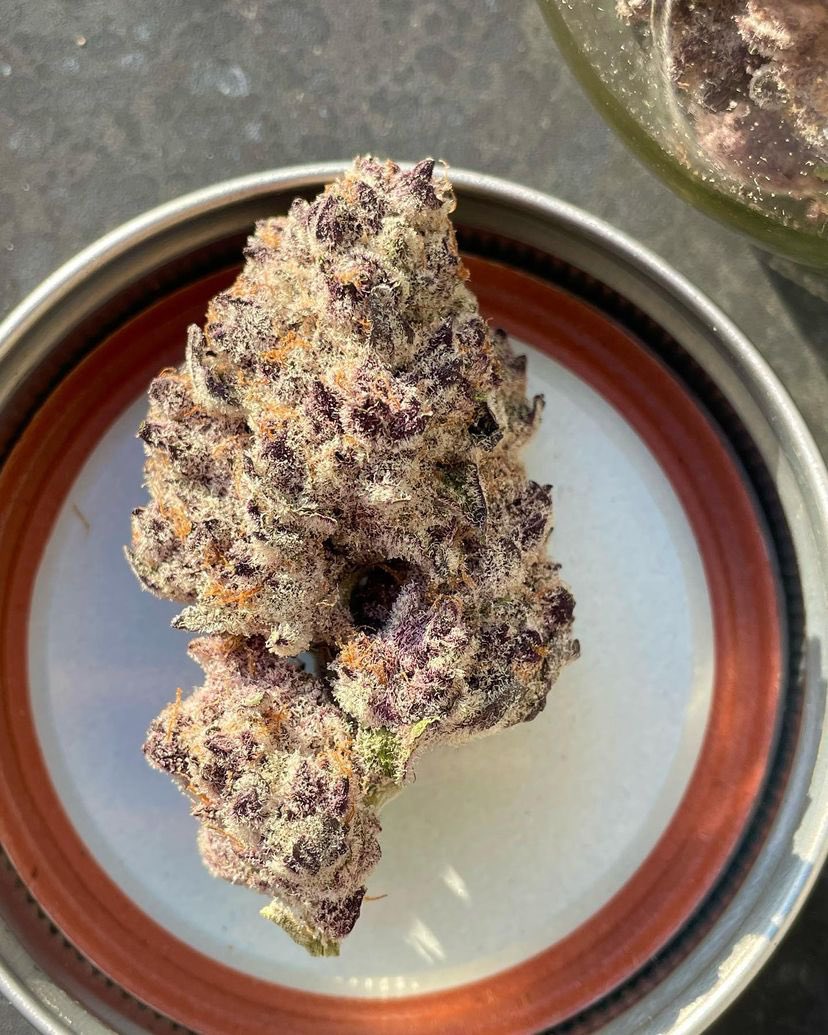 GSGoddess420's tweet photo. SuperBoof Cherry!
Sight: 10/10
Touch: 9/10 
Aroma: 10/10
Taste: 9/10 
Sensation: 10/10
#CannabisCommunity #buyweedfromwomen #femalesmokers #yum #smokeshow #blonde #cannabis https://t.co/BkVMqpFynB
