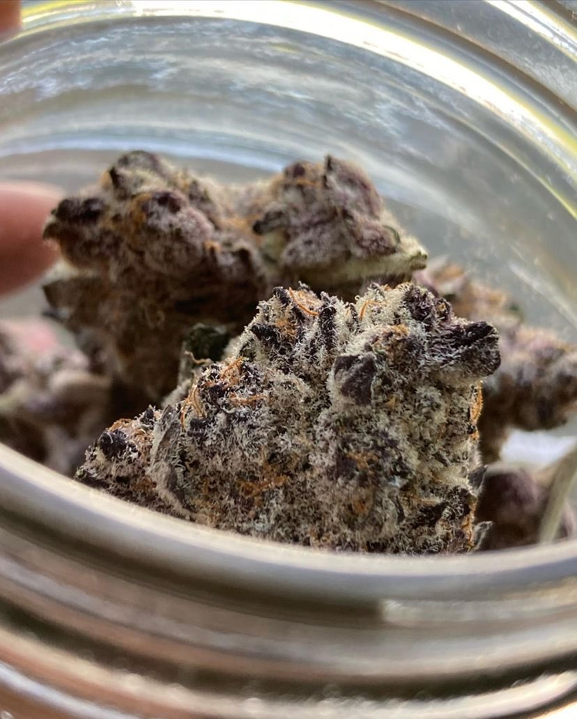 GSGoddess420's tweet photo. SuperBoof Cherry!
Sight: 10/10
Touch: 9/10 
Aroma: 10/10
Taste: 9/10 
Sensation: 10/10
#CannabisCommunity #buyweedfromwomen #femalesmokers #yum #smokeshow #blonde #cannabis https://t.co/BkVMqpFynB