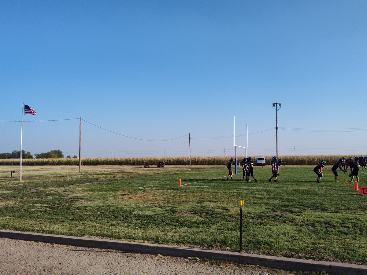 Dana Hauck tweet media