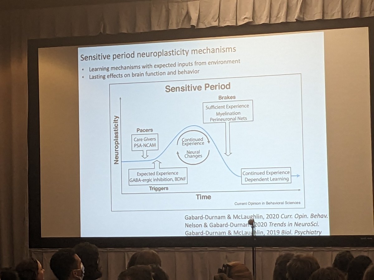 JamieLarsH's tweet image. . @laurel_joy_gd talking about sensitive periods and neurodevelopment, also emphasizing translating research into supporting children and youth #Flux2023