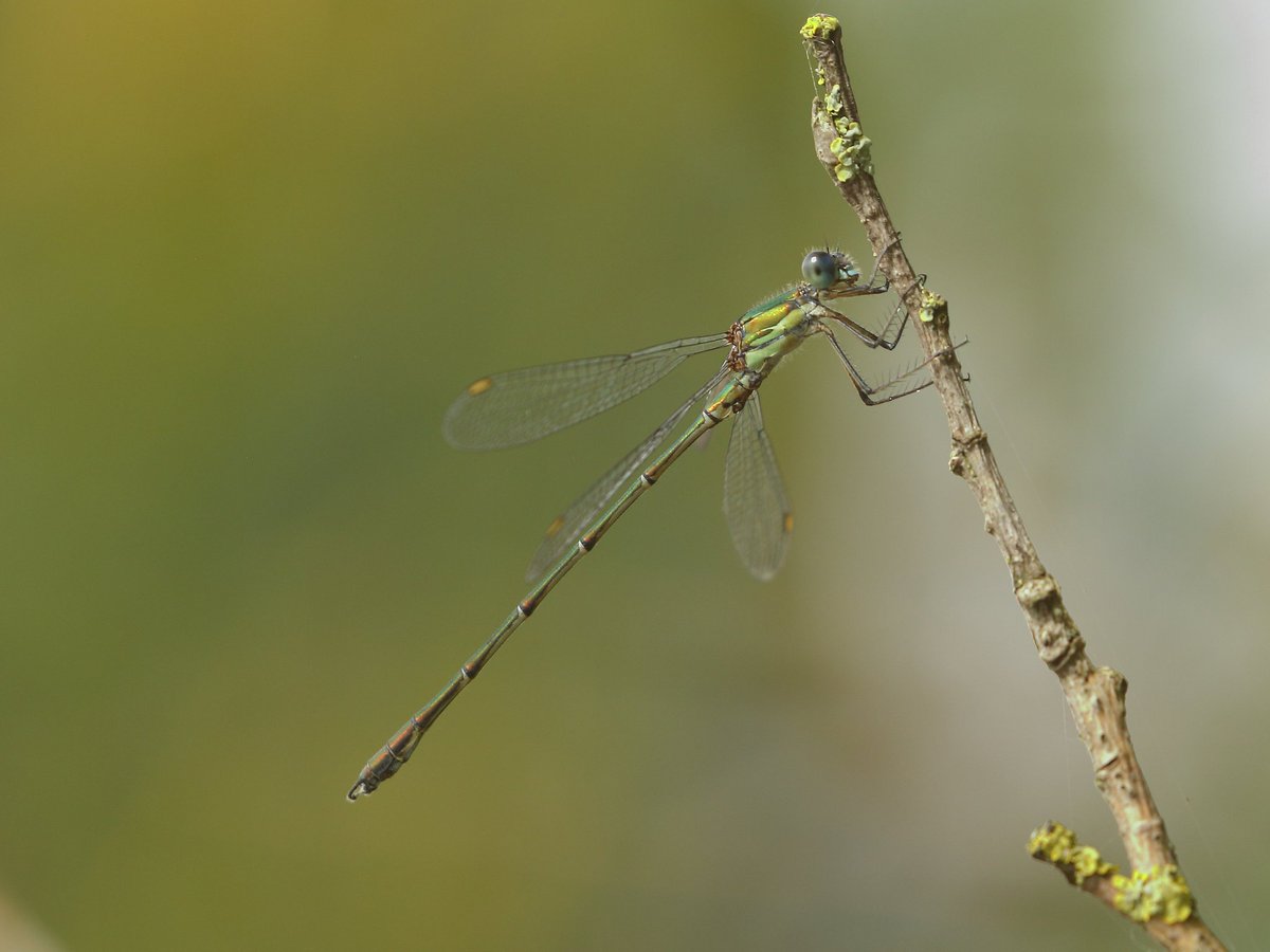 Andy Deighton tweet media