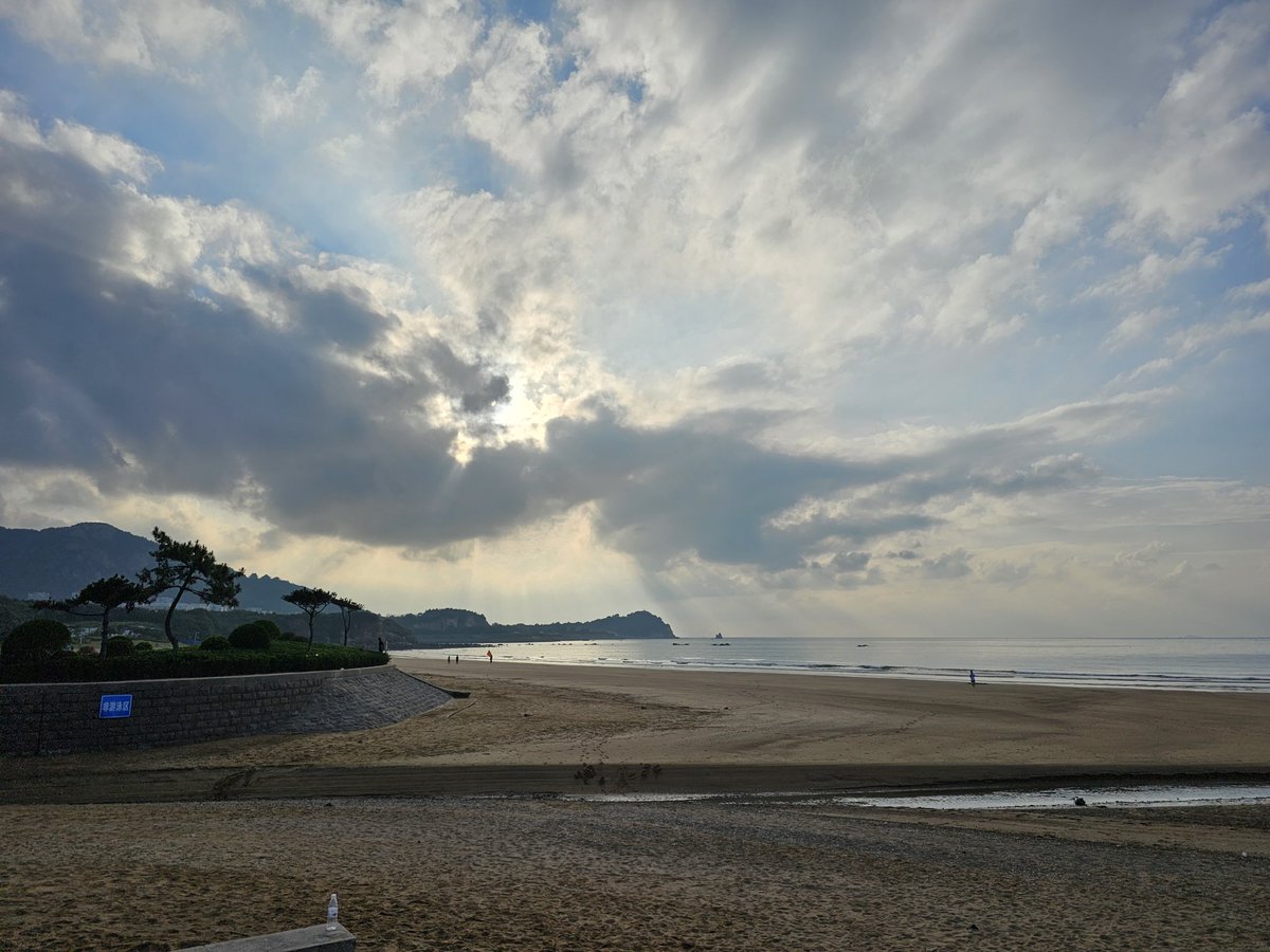 AlexanderWolf tweet media