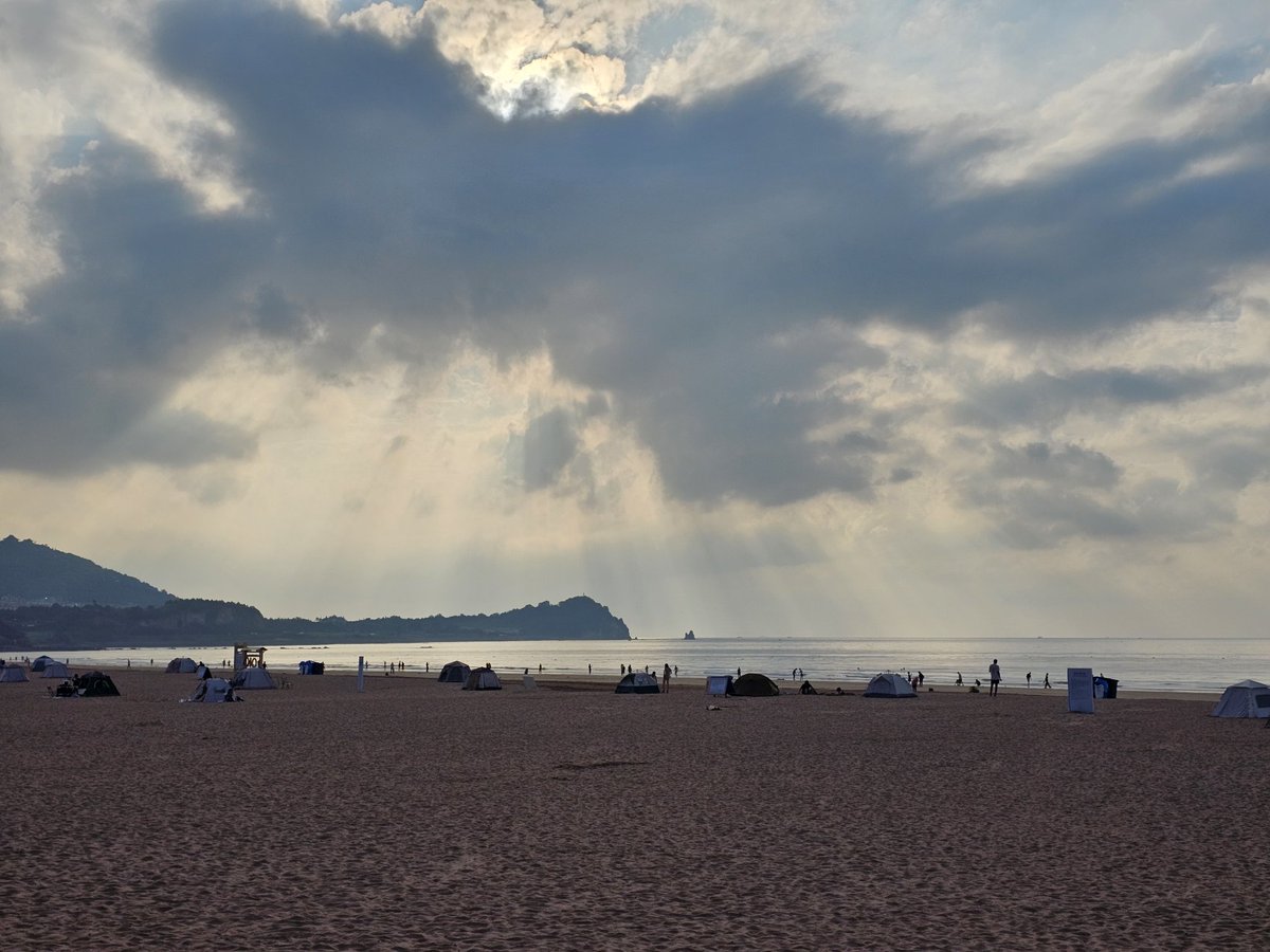 AlexanderWolf tweet media