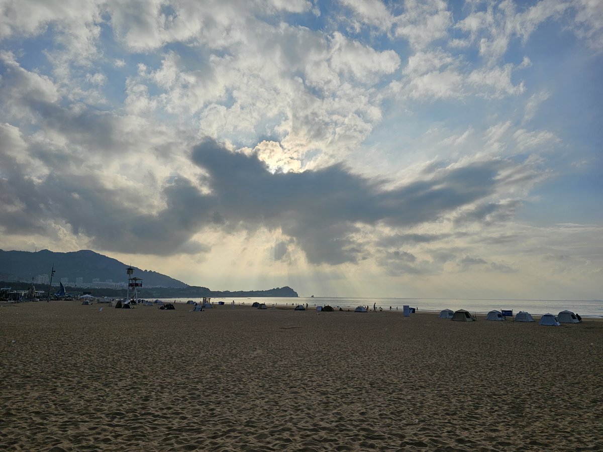 AlexanderWolf tweet media