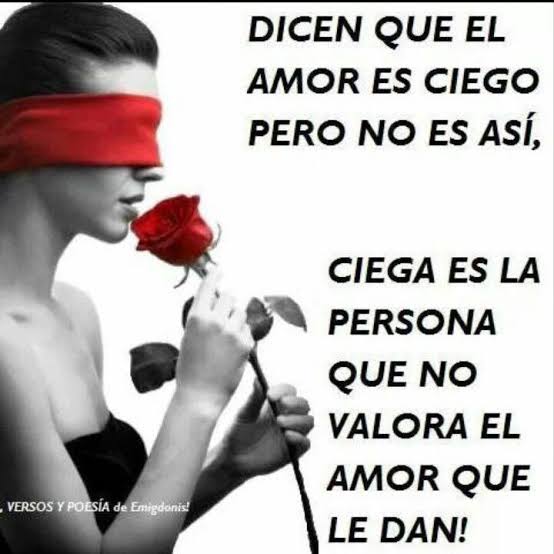 Alejandra Urbina (@auc_koda) on Twitter photo 